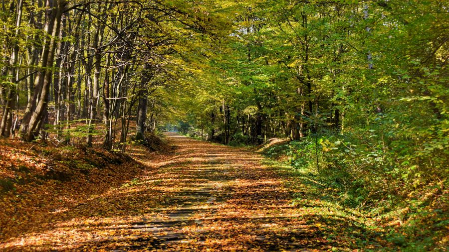 50 km-es őszi kerékpártúra a csodálatos Zemplénben