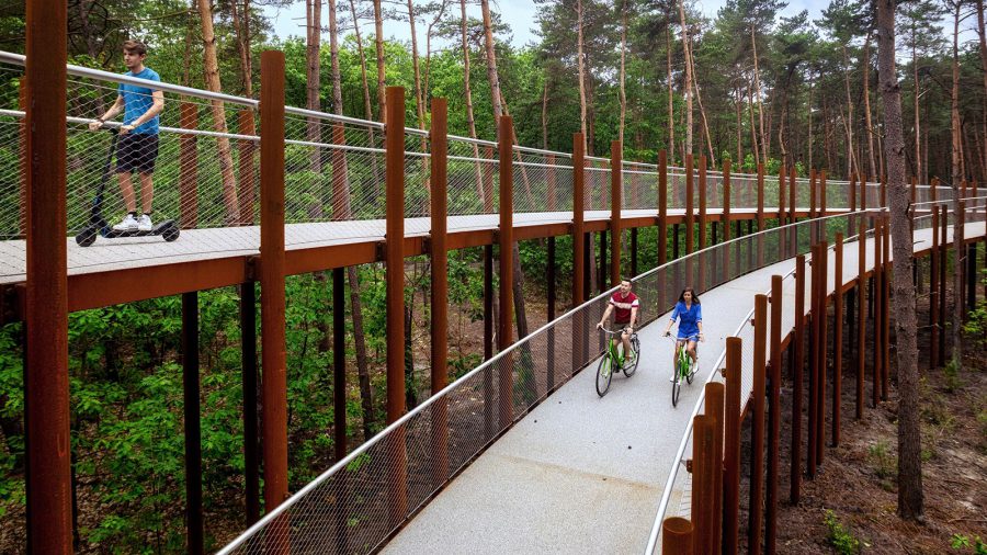 Elképesztő, kétszintes kerékpárutat építettek a belgák egy erdő közepére