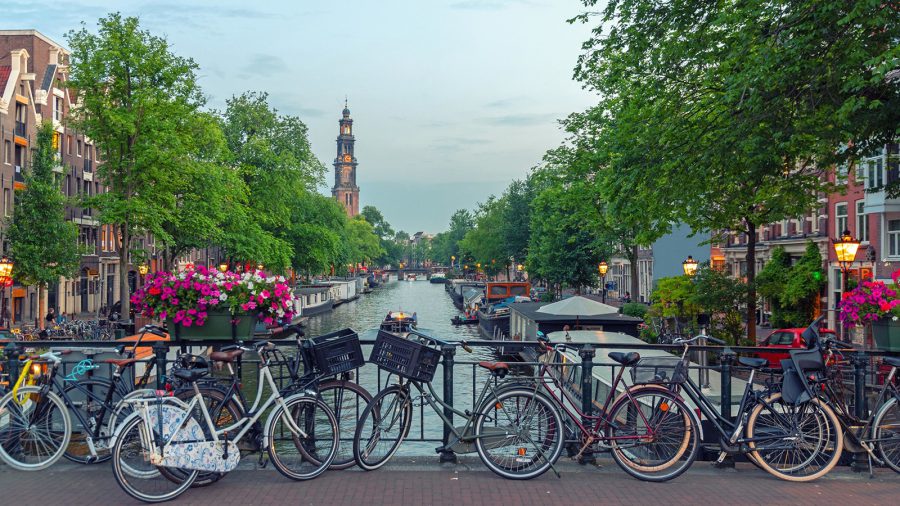 Virággal védik az amszterdami hidakat az odaláncolt bicikliktől