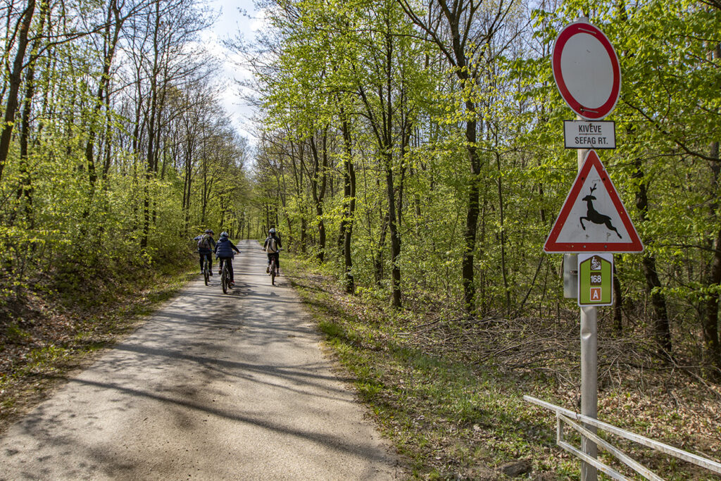 A Balaton déli partja is bringásparadicsom – 65 km ebikeozás a somogyi dombokon